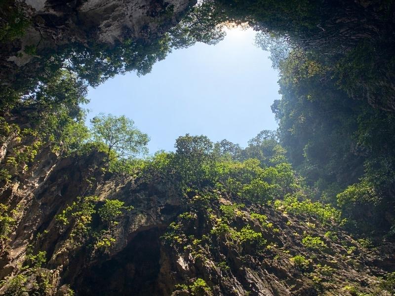 Jungle Trek, Waterfall & Batu Caves Full-Day Tour from KL